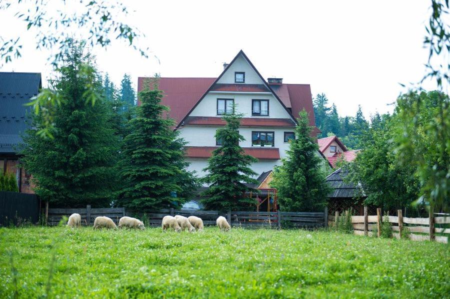 Bed and Breakfast Osrodek Wczasowo-Kolonijny Gron Biały Dunajec Exterior foto